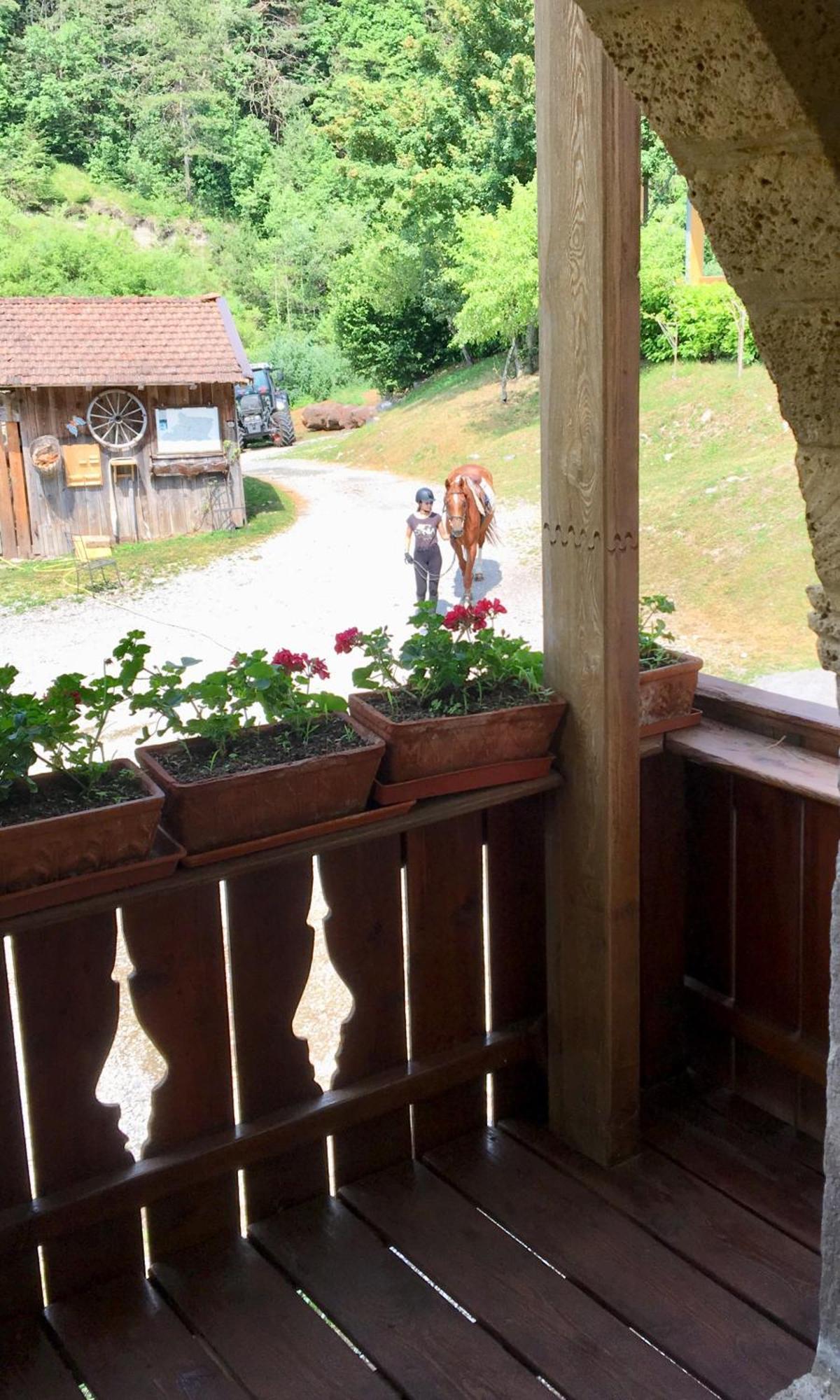 Agriturismo Randis Piano d'Arta Exterior photo